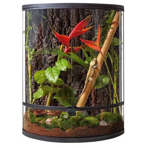 In a closed <strong>terrarium</strong>, the sealed environment creates high humidity and reduces evaporation. . Thrive terrarium